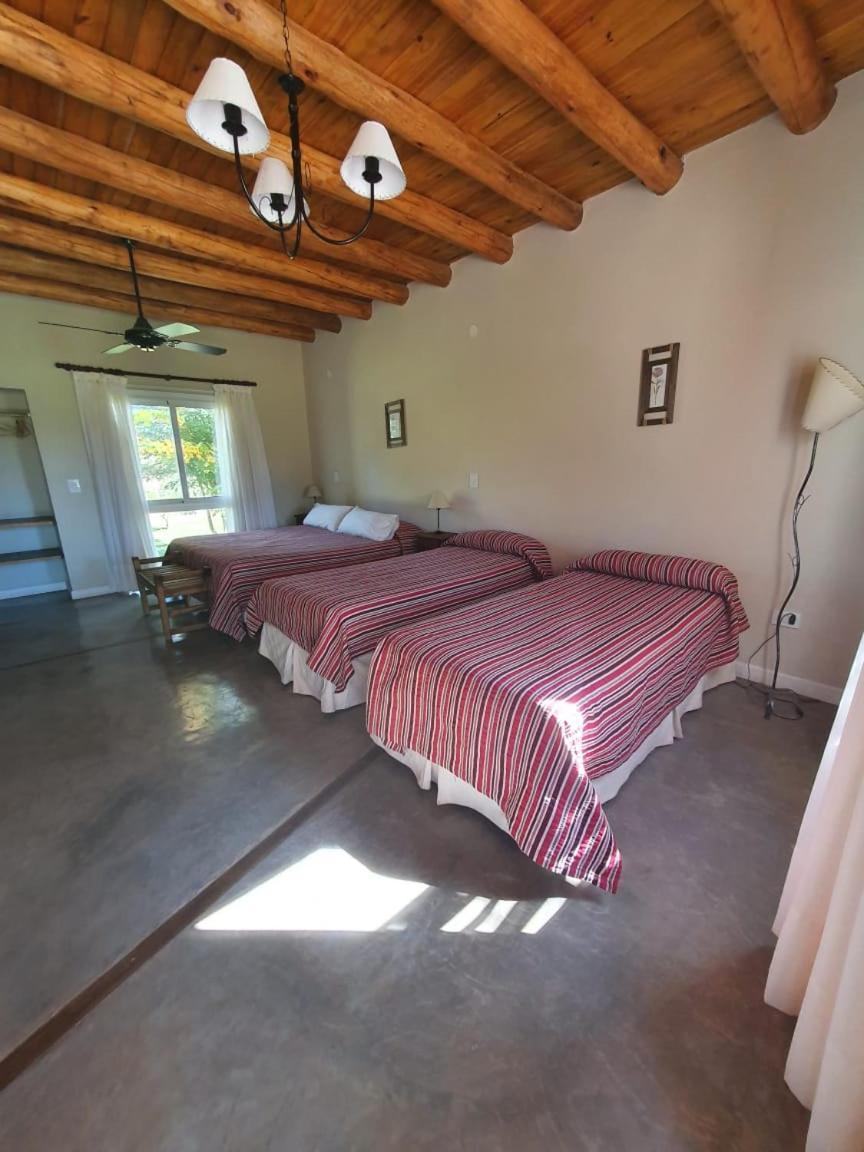 Hotel Celestino Posta Andina Barreal Esterno foto